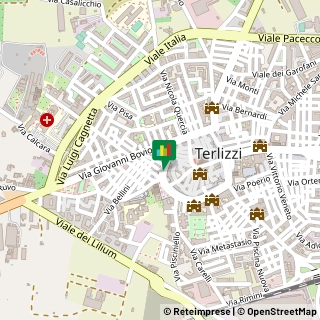 Corso Giuseppe Garibaldi, 82,70038Terlizzi