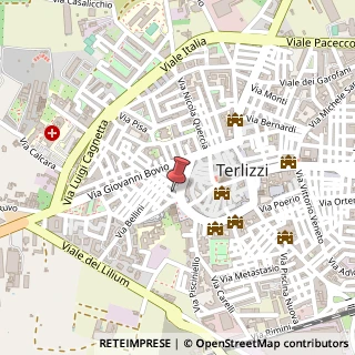 Mappa Via Pasquale Fiore, 6, 70038 Terlizzi, Bari (Puglia)