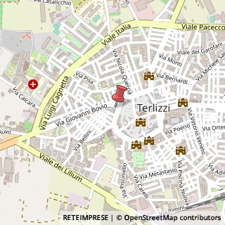 Mappa Corso Giuseppe Garibaldi, 58, 70038 Terlizzi, Bari (Puglia)