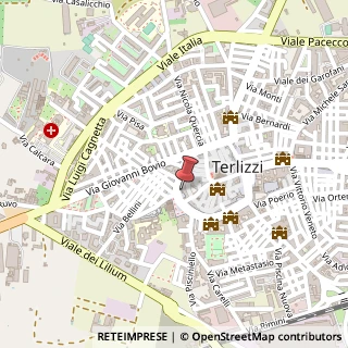 Mappa Corso Giuseppe Garibaldi, 163, 70038 Terlizzi, Bari (Puglia)