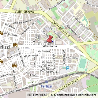 Mappa Viale Roma, 51, 70038 Terlizzi, Bari (Puglia)