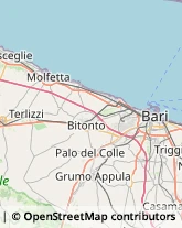 Consulenza alle Imprese e agli Enti Pubblici Bari,70132Bari