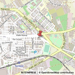 Mappa Viale Roma, 140, 70038 Terlizzi, Bari (Puglia)