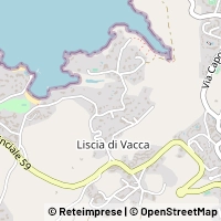 Map Arzachena