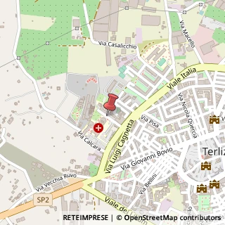 Mappa Via Pasquale Fiore, 135, 70038 Terlizzi, Bari (Puglia)