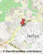 Viale delle Mimose, 40,70038Terlizzi