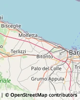 Fabbri Terlizzi,70038Bari