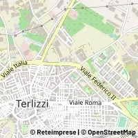 Kart Terlizzi