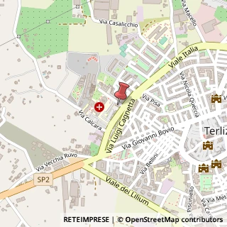 Mappa Via Pasquale Fiore, 115, 70038 Terlizzi, Bari (Puglia)