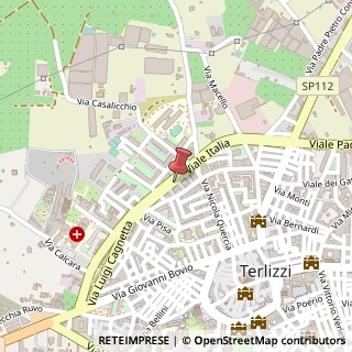 Mappa Viale delle Mimose, 38, 70038 Terlizzi, Bari (Puglia)