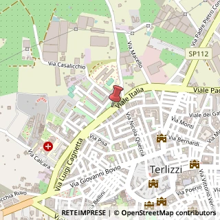 Mappa Viale Italia, 137, 70038 Terlizzi, Bari (Puglia)