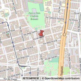 Mappa Via dei Gelsi, 106, 00171 Roma, Roma (Lazio)