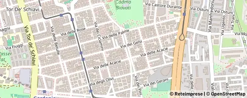 Mappa Rome