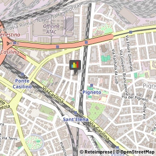 Tartufi e Funghi Civitavecchia,00176Roma