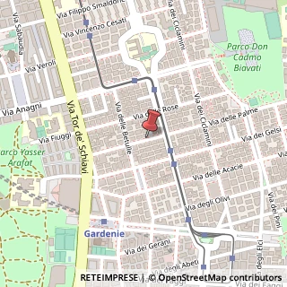 Mappa Via delle Palme,  39, 00171 Roma, Roma (Lazio)