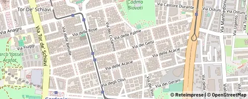 Mappa Rom