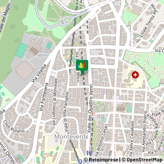 Via Basilio Bricci, 33,00152Roma