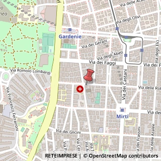 Mappa Via delle Robinie, 40, 00172 Roma, Roma (Lazio)