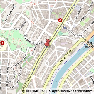 Mappa Viale di trastevere 207/d, 00153 Roma, Roma (Lazio)