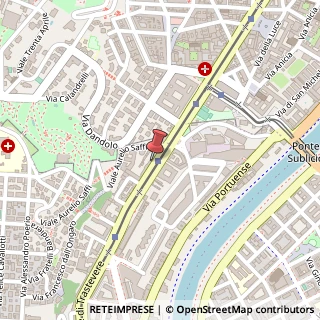 Mappa Viale di Trastevere, 110A, 00153 Roma, Roma (Lazio)