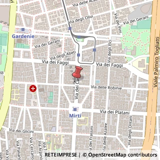 Mappa Via delle Robinie, 51, 00172 Roma, Roma (Lazio)