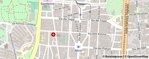 Mappa Roma