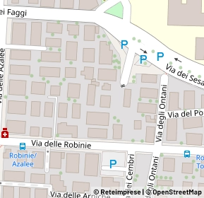 Mappa Via delle Salvinie, 00172 Roma RM, Italia (0.0875)