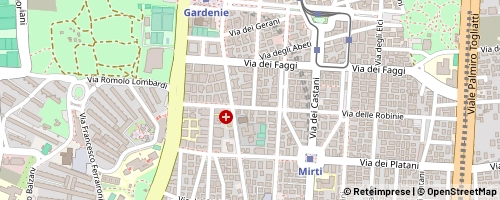 Mappa Roma