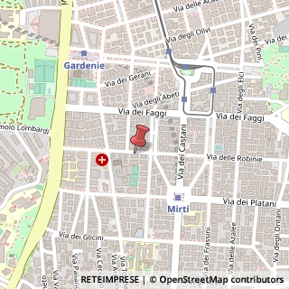 Mappa Via delle Robinie, 60, 00172 Roma, Roma (Lazio)