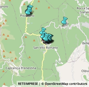 Mappa Viale Piave, 00030 San Vito Romano RM, Italia (1.019)