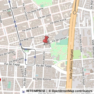 Mappa Via delle Petunie,  15, 00171 Roma, Roma (Lazio)
