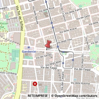 Mappa Viale delle Gardenie,  54, 00172 Roma, Roma (Lazio)