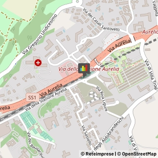 Animali Domestici - Centri Allevamento e Addestramento,00165Roma