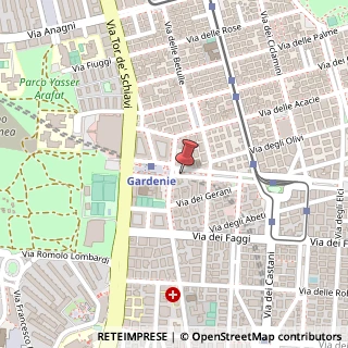 Mappa Viale delle Gardenie,  14, 00172 Roma, Roma (Lazio)