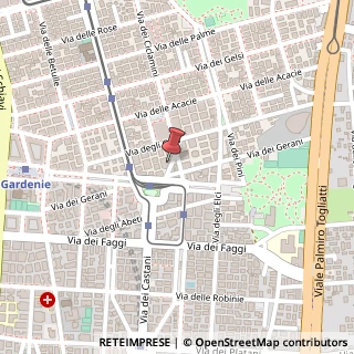 Mappa Via Dei Rododendri, 19, 00171 Roma, Roma (Lazio)