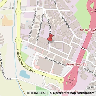 Mappa Via della Cisternola,  88, 00155 Roma, Roma (Lazio)