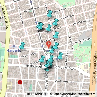 Mappa Piazza dei Gerani, 00172 Roma RM, Italia (0.22)