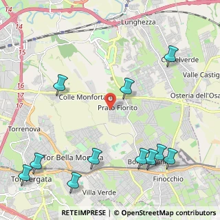 Mappa Via Giardinello, 00132 Roma RM, Italia (3.04545)