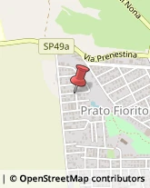 Via Castronovo di Sicilia, 38,00132Roma