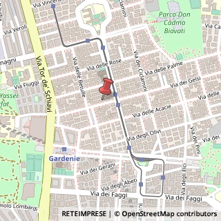 Mappa Via dei Gelsi, 25, 00171 Roma, Roma (Lazio)