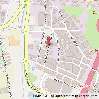 Mappa Via della Vaccheria Gianni, 92, 00155 Roma, Roma (Lazio)
