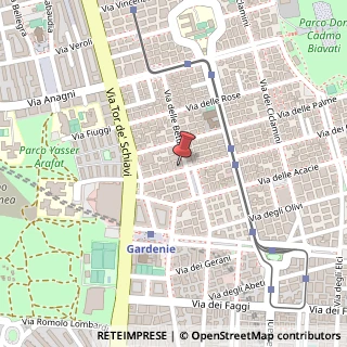 Mappa Via dei Gelsi, 137, 00171 Roma, Roma (Lazio)