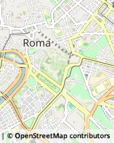 Viale Luca Gaurico, 9,00143Roma