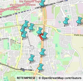 Mappa Via Ferdinando Bassi, 00171 Roma RM, Italia (1.045)