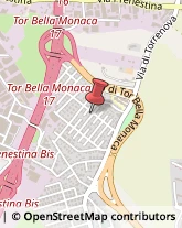 Via Bitonto, 55,00133Roma