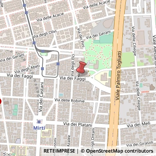 Mappa Via dei Faggi,  179, 00172 Roma, Roma (Lazio)