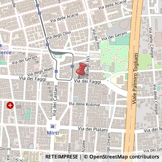 Mappa Via dei Faggi,  143, 00172 Roma, Roma (Lazio)