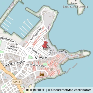 Mappa Via dell'Erba Chirurgo, 30, 71019 Vieste FG, Italia, 71019 Vieste, Foggia (Puglia)