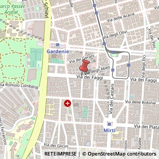 Mappa Via dei Faggi,  49, 00172 Roma, Roma (Lazio)