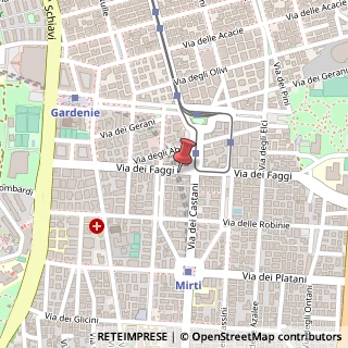Mappa Via dei Faggi, 74, 00172 Roma, Roma (Lazio)